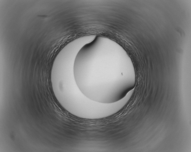 X0000112941108200909211128