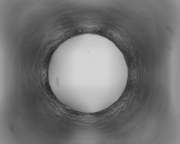 X0000112941109200909211128