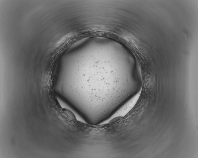 X0000112941110200909211128