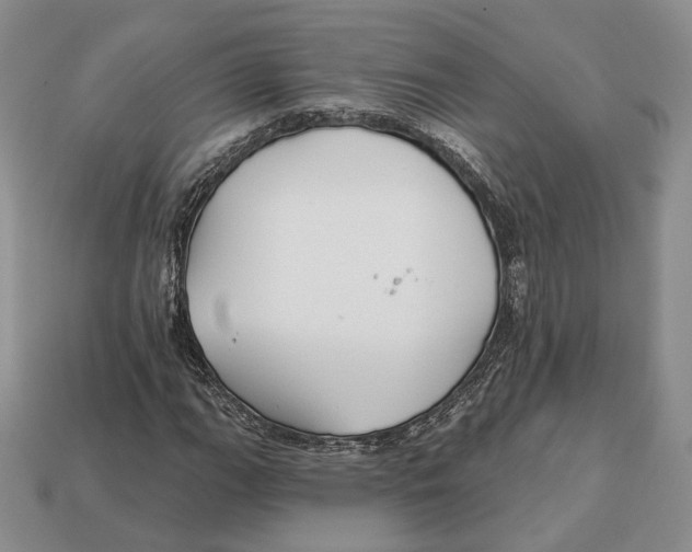X0000112941111200909211128