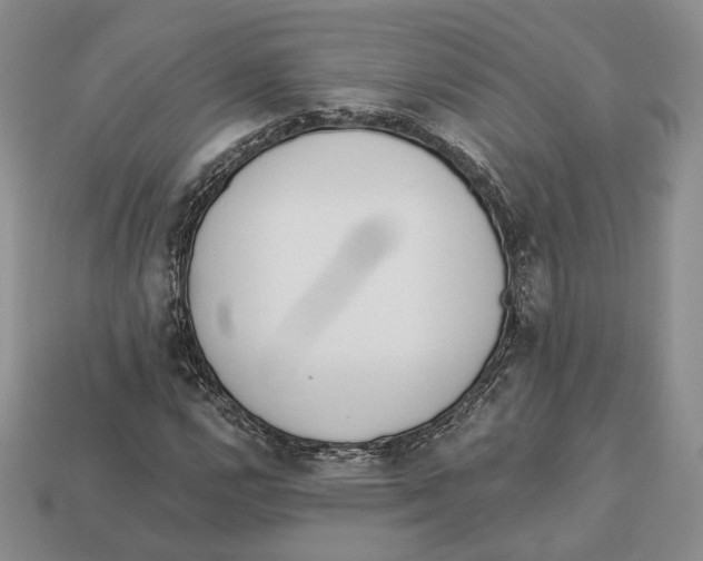 X0000112941112200909211128
