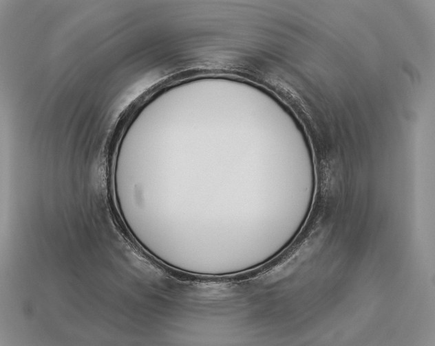 X0000112941114200909211128