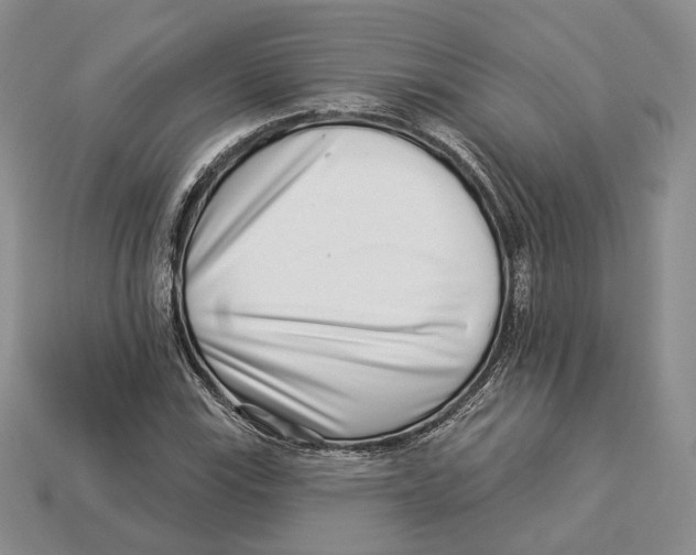 X0000112941115200909211128