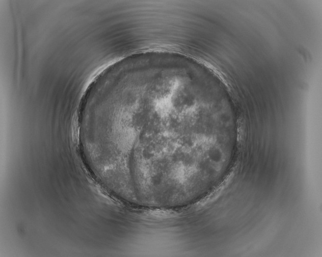 X0000112941117200909211128