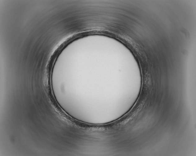 X0000112941118200909211128