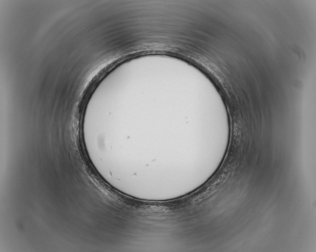 X0000112941119200909211128