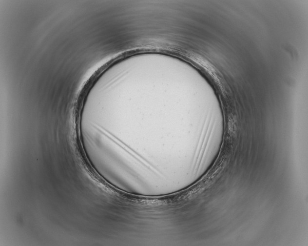 X0000112941120200909211128