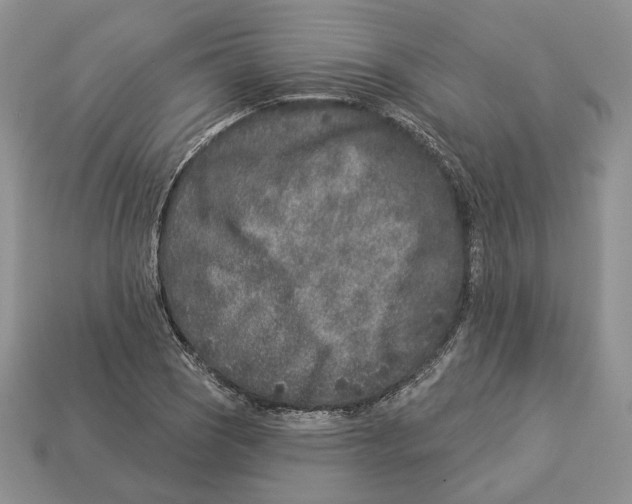 X0000112941121200909211128