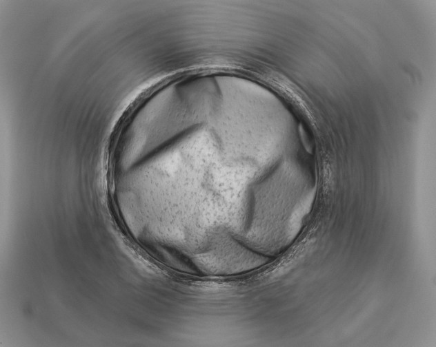 X0000112941124200909211128