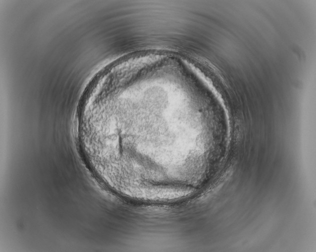 X0000112941125200909211128