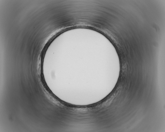 X0000112941126200909211128