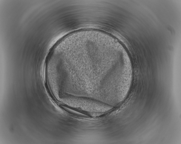 X0000112941127200909211128