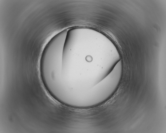 X0000112941128200909211128
