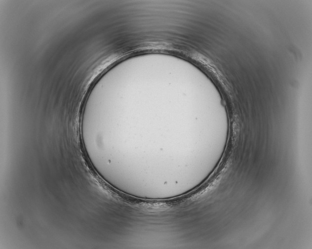 X0000112941129200909211128