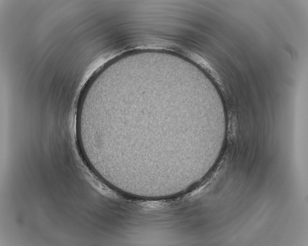 X0000112941130200909211128