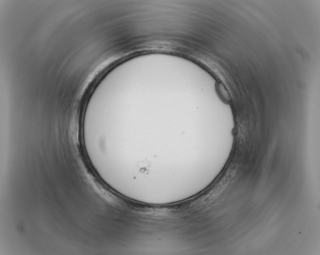 X0000112941131200909211128