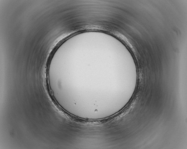 X0000112941133200909211128