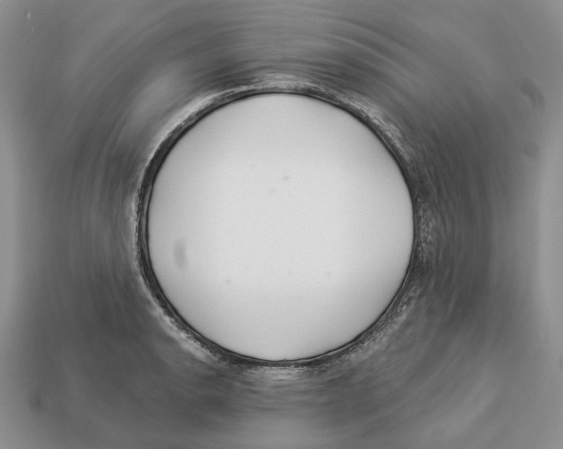 X0000112941134200909211128