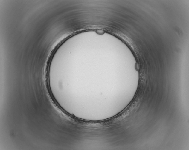 X0000112941135200909211128