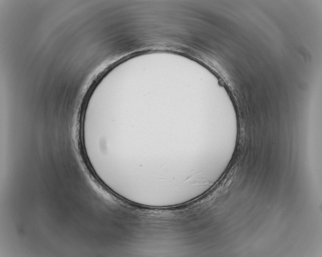 X0000112941136200909211128