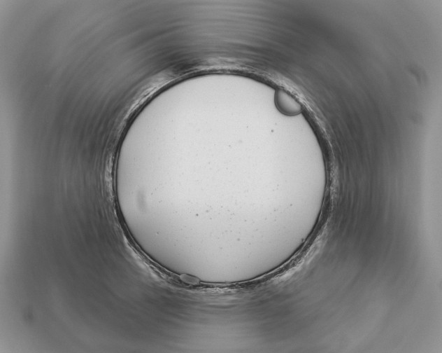 X0000112941137200909211128