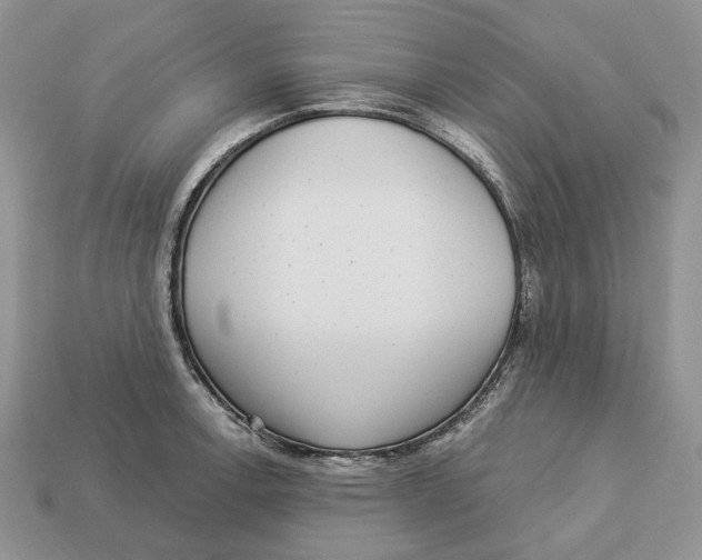 X0000112941138200909211128