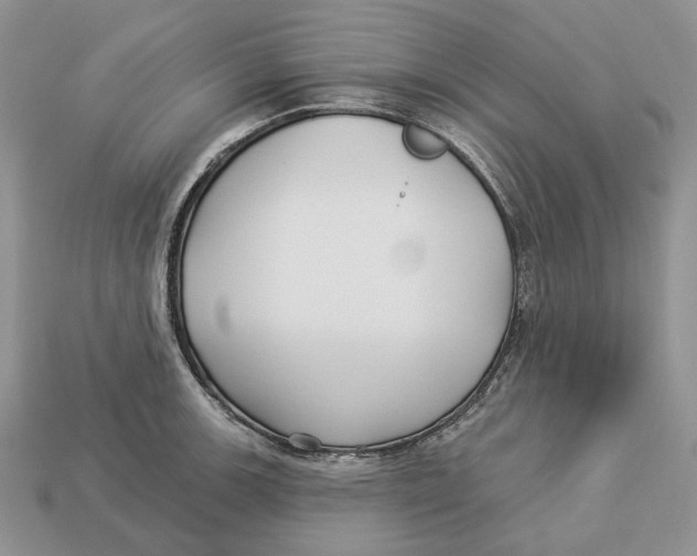 X0000112941139200909211128