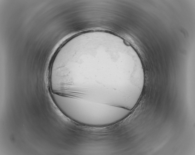 X0000112941140200909211128