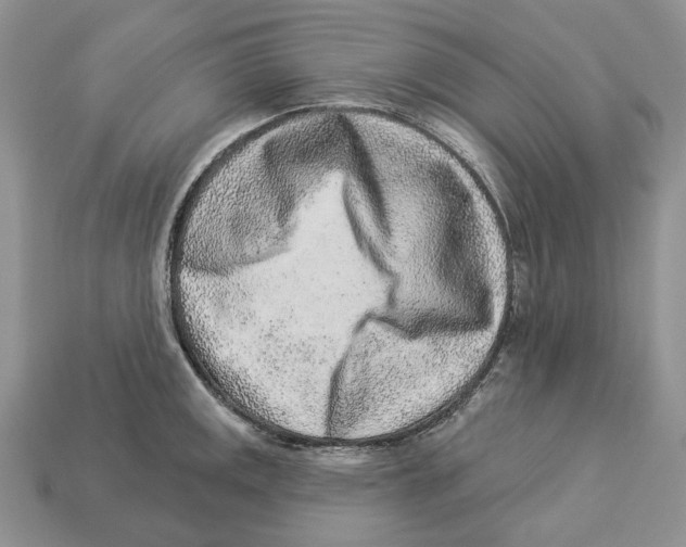 X0000112941141200909211128