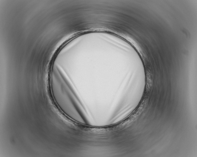 X0000112941142200909211128
