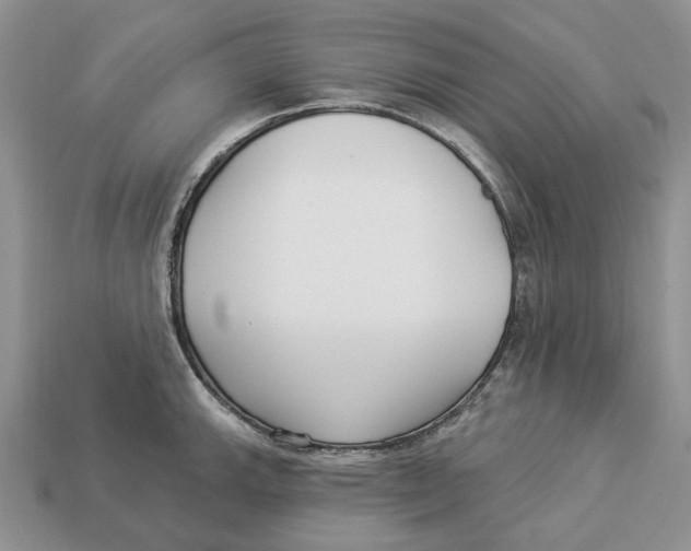 X0000112941143200909211128