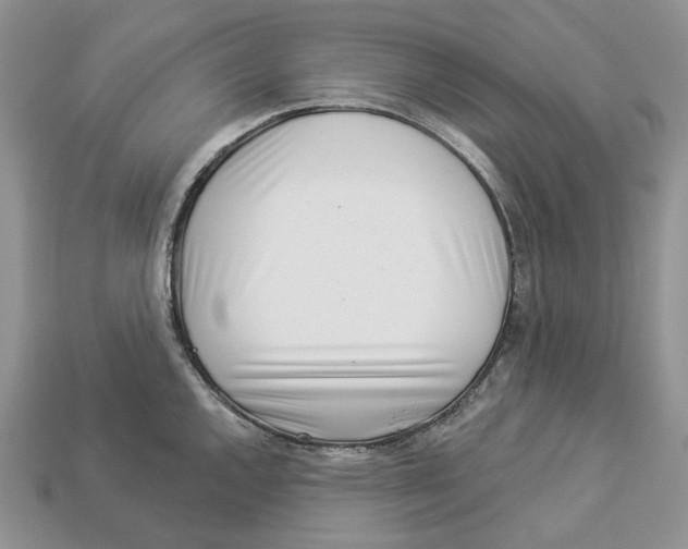X0000112941144200909211128
