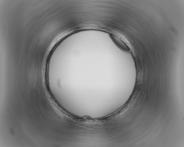 X0000112941146200909211128