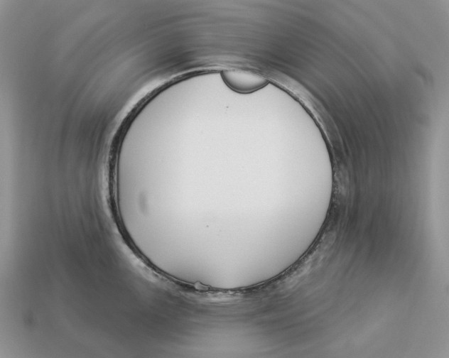 X0000112941147200909211128