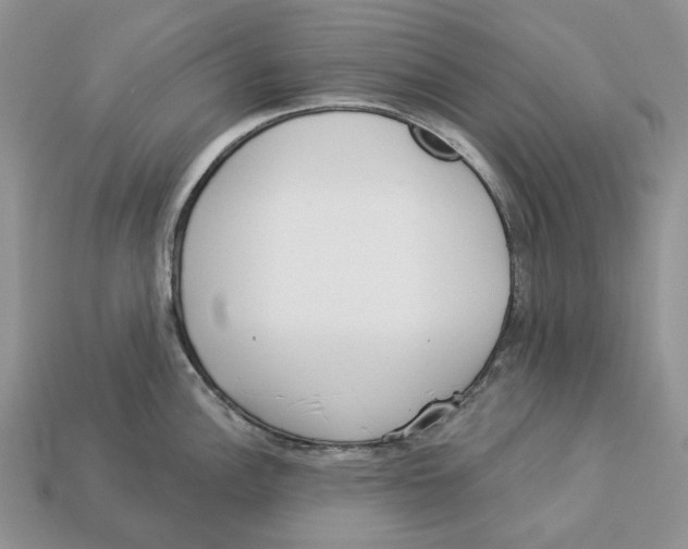 X0000112941148200909211128