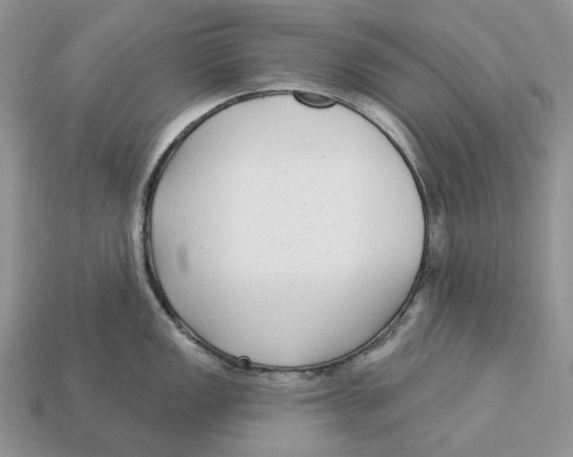 X0000112941149200909211128