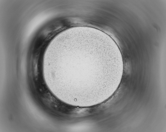 X0000112941150200909211128