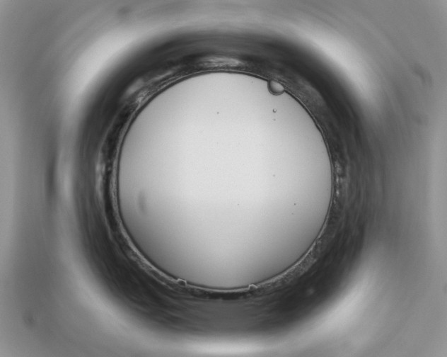 X0000112941151200909211128