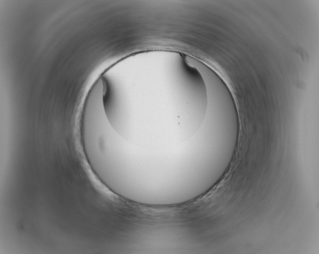 X0000112941152200909211128