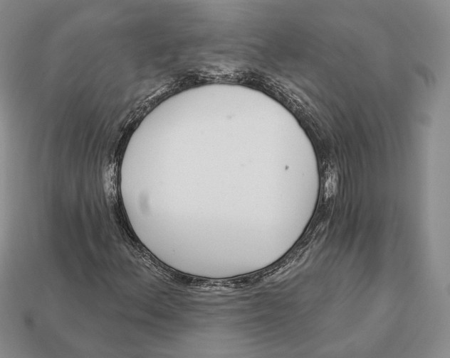 X0000112941156200909211128
