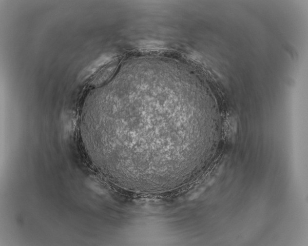 X0000112941157200909211128