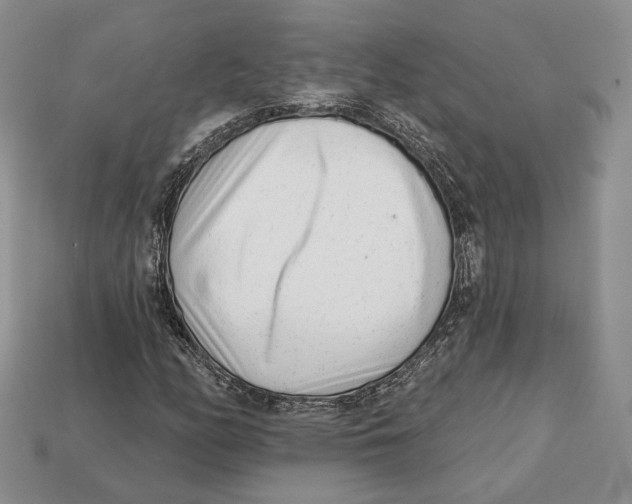 X0000112941158200909211128