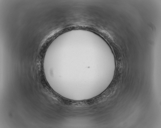 X0000112941159200909211128