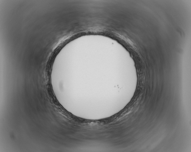 X0000112941160200909211128
