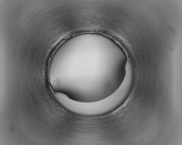 X0000112941162200909211128