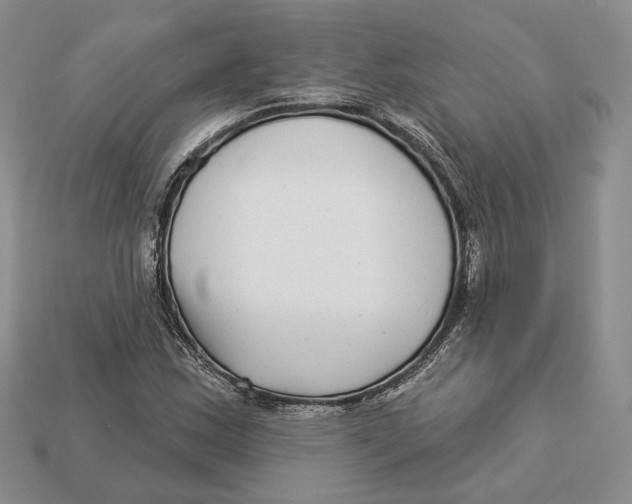 X0000112941163200909211128