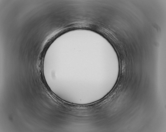 X0000112941164200909211128