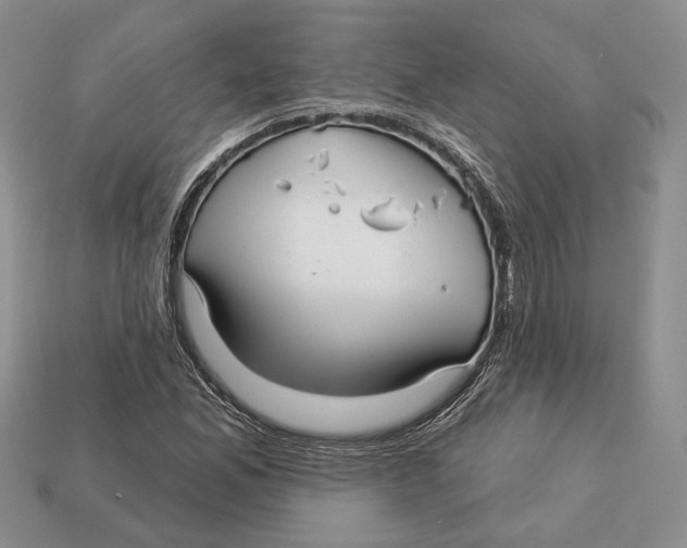 X0000112941165200909211128