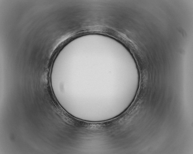 X0000112941166200909211128