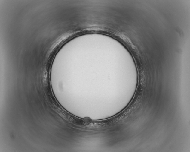 X0000112941167200909211128